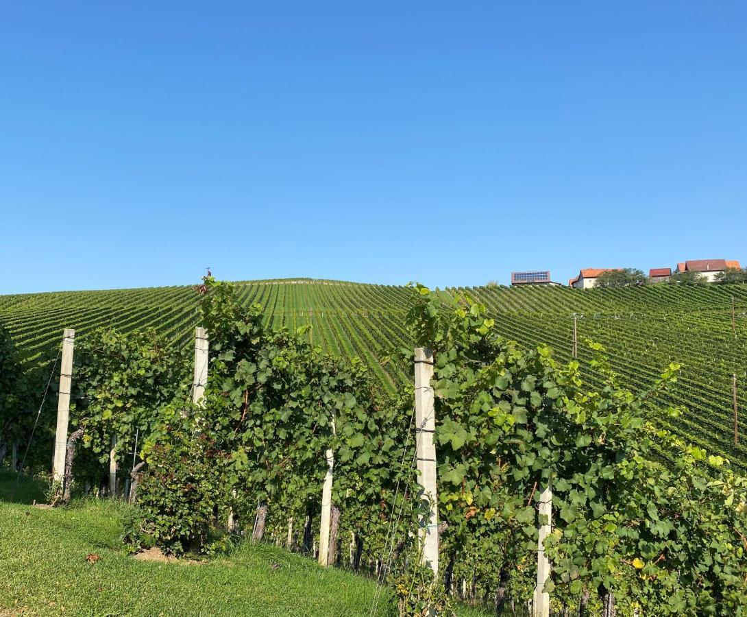 Wein Kultur Apartment Flavia Solva Wagna Ngoại thất bức ảnh
