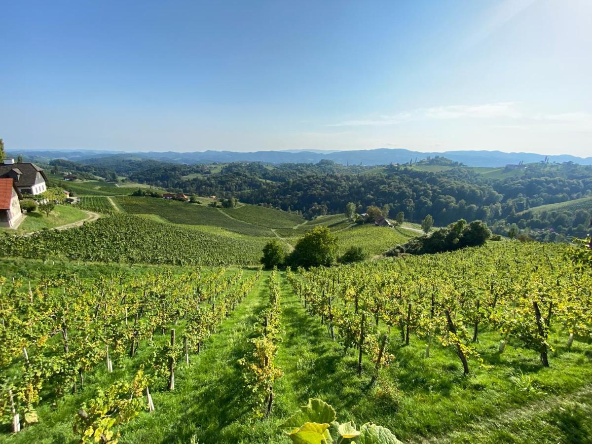 Wein Kultur Apartment Flavia Solva Wagna Ngoại thất bức ảnh
